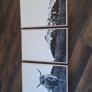 Black and White Highland Cow and Mountain Wall Art Set of 3 Pictures,  16x24x3